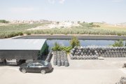 Fabrica de aderezo de aceitunas
