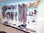 Traspaso de consultorio veterinario, peluqueria canina y boutique de mascotas en Sevilla