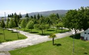 Camping A Masía, Trives