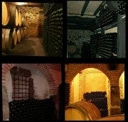 Venta Bodega y Viñedos