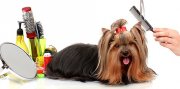 Tienda y peluqueria canina
