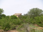 la fuente