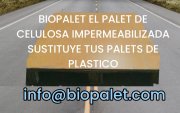 Start up sostenible