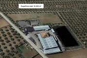 Negocio de aderezo, envasado y comercialización de aceitunas. PRECIO NEGOCIABLE