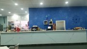 Patilandia ice s.l