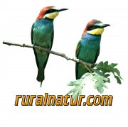 portal de turismo rural