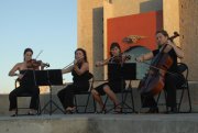 Organización de Eventos, espectáculos y representación artística