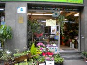 Floristería Tecniplan
